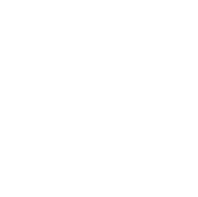 vision